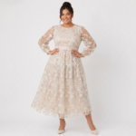 Blush Sheer Embroidered Midi Dress - Image 2