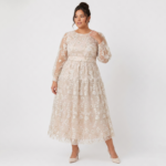 Blush Sheer Embroidered Midi Dress - Image 6