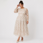 Blush Sheer Embroidered Midi Dress - Image 4