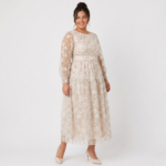 Blush Sheer Embroidered Midi Dress - Image 8