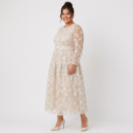 Blush Sheer Embroidered Midi Dress - Image 10